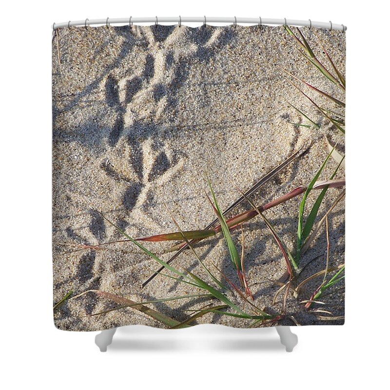 Landscape Photography Shower Curtain featuring the photograph Bird Prints by Kim Galluzzo