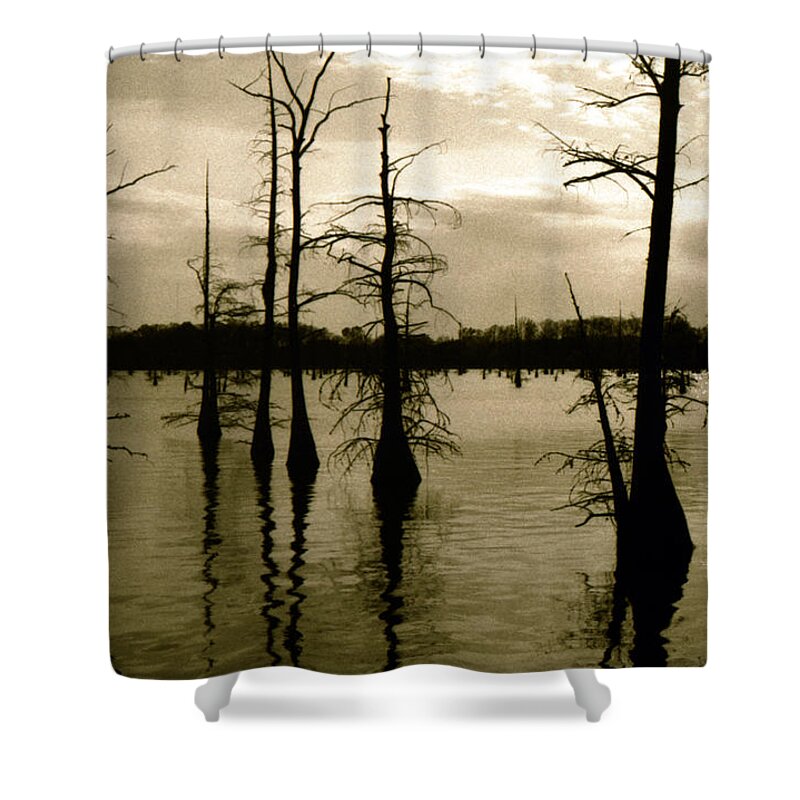 Louisiana Shower Curtain featuring the photograph Black Bayou 8 by Doug Duffey