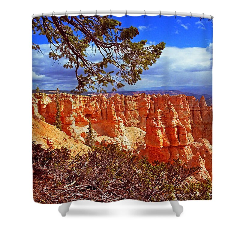 Utah Shower Curtain featuring the photograph Black Birch Canyon by Rich Walter