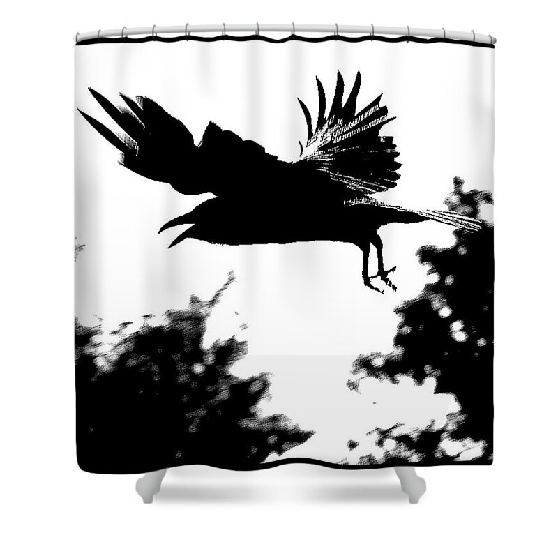 Black And White Shower Curtain featuring the photograph Black Bird Number 2 by Scott Brown