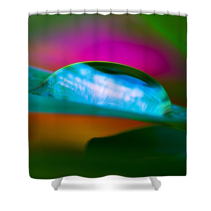 Water Drop Shower Curtain featuring the photograph Blade Runner by Rob Hemphill