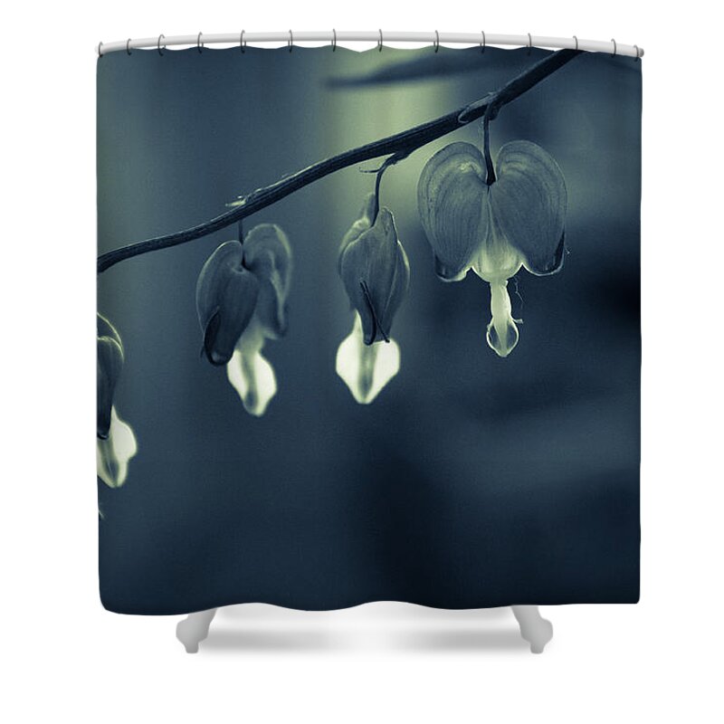 Nature Shower Curtain featuring the photograph Bleeding heart by Andreas Levi
