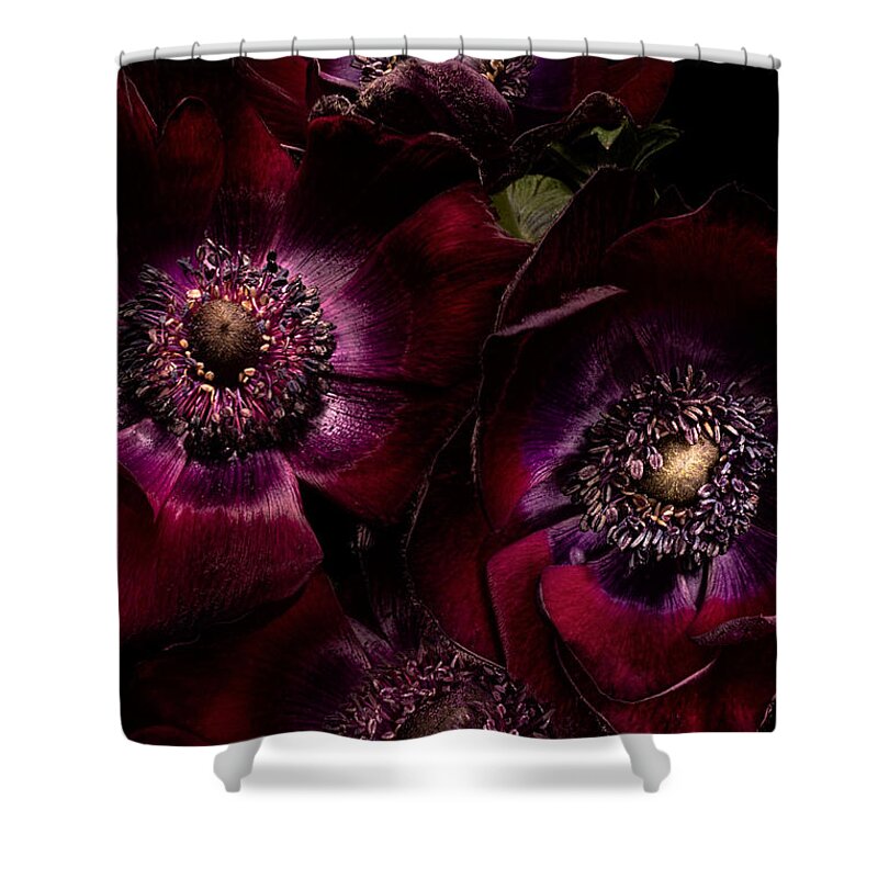 Anemone Shower Curtain featuring the photograph Blood Red Anemones by Ann Garrett