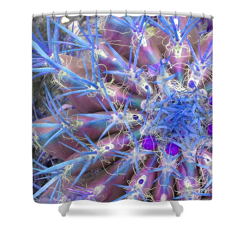Blue Shower Curtain featuring the photograph Blue Cactus by Rebecca Margraf