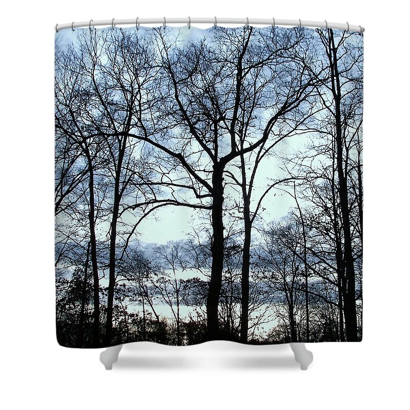 Trees Shower Curtain featuring the photograph Blue Mirage by Pamela Hyde Wilson