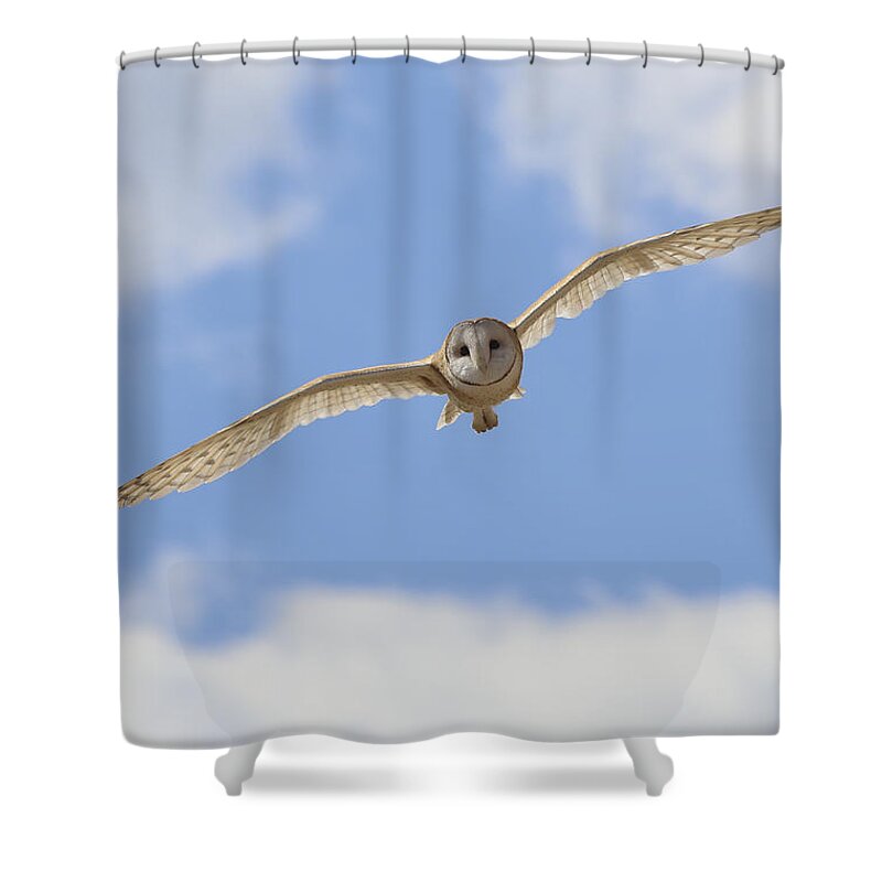 Landscape Shower Curtain featuring the photograph Blue sky barn owl by John T Humphrey