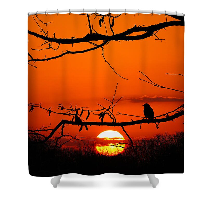 Wisconsin Shower Curtain featuring the photograph Bluebird Dawn by Bill Pevlor