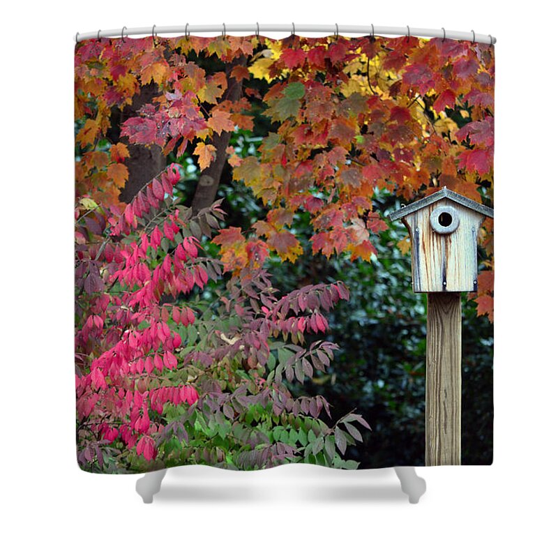 Fall Shower Curtain featuring the photograph Bluebird House Color Surround by Sandi OReilly