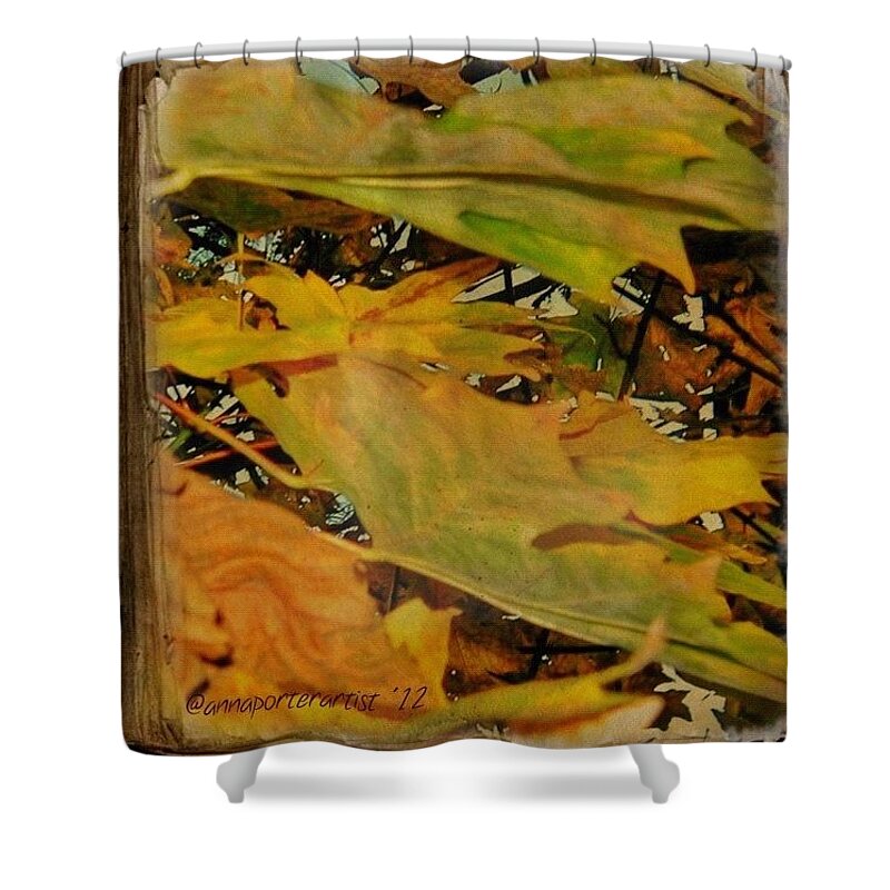 Fall Color Shower Curtain featuring the photograph Book Of Leaves by Anna Porter