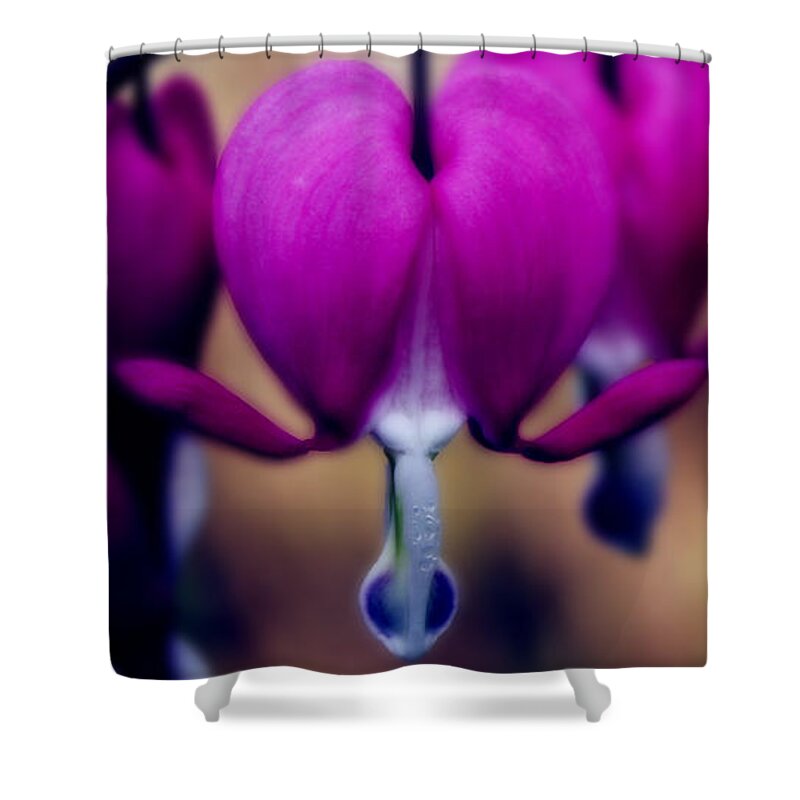 Perennial Shower Curtain featuring the photograph Bountiful Bleeding Heart by Shelley Neff