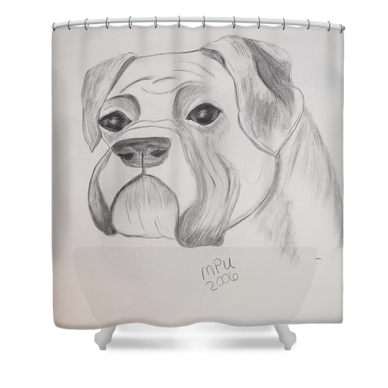 Boxer Shower Curtain featuring the drawing Boxer No Crop by Maria Urso