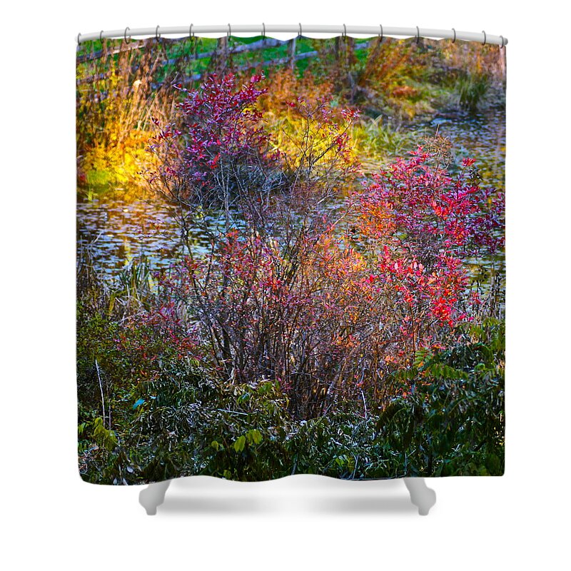 Landscape Shower Curtain featuring the photograph Bright Autumn Light by Byron Varvarigos