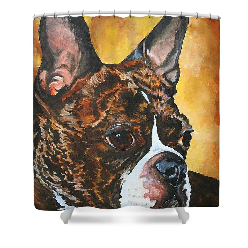 Boston Terrier Shower Curtain featuring the painting Bright Brindle by Susan Herber