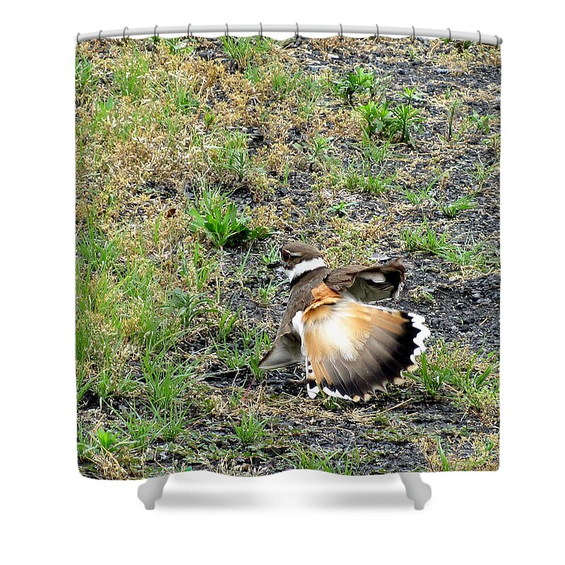 Bird Shower Curtain featuring the photograph Broken Wing Act by George Jones