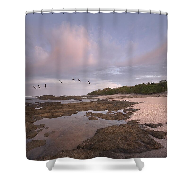 00176401 Shower Curtain featuring the photograph Brown Pelican Group Flying Over Playa by Tim Fitzharris
