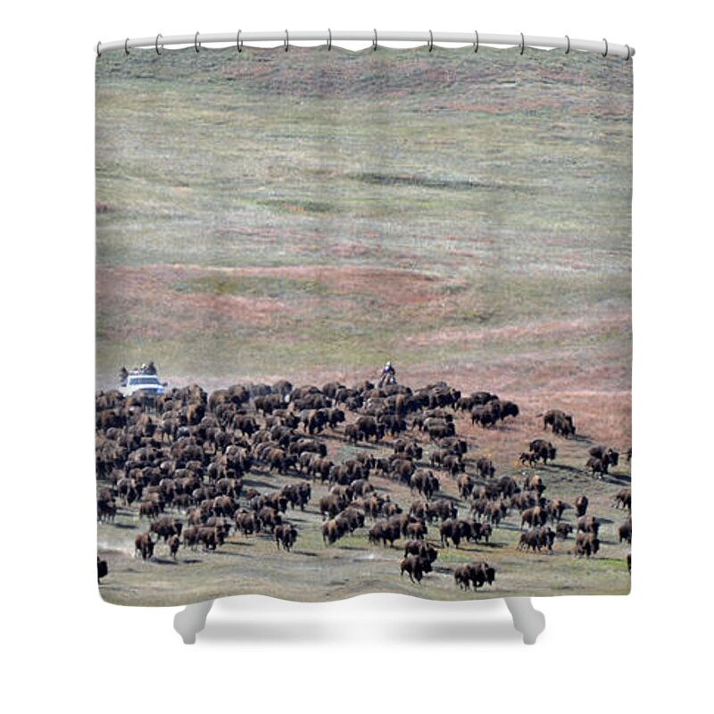 Buffalo. Custer State Park Shower Curtain featuring the photograph Buffalo Round-up by Robert Habermehl
