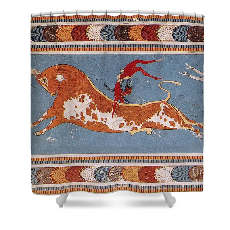 Figurative Art Shower Curtain featuring the photograph Bull-leaping Fresco From Minoan Culture by Photo Researchers