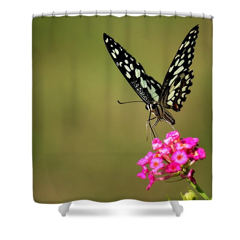 Insects Shower Curtain featuring the digital art Butterfly On Pink Flower by Ramabhadran Thirupattur