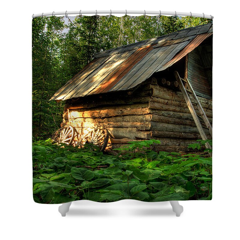 Bush Shower Curtain featuring the photograph Cabin in the Woods by Jakub Sisak