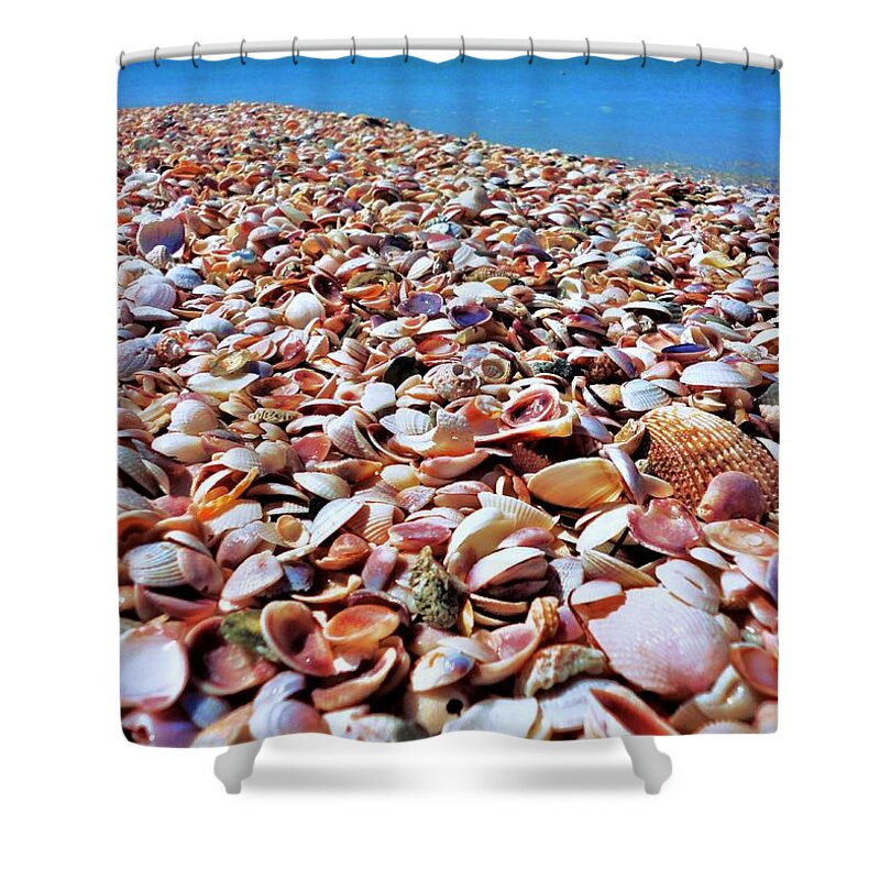 Caladesi Shower Curtain featuring the photograph Caladesi Shells I by Benjamin Yeager