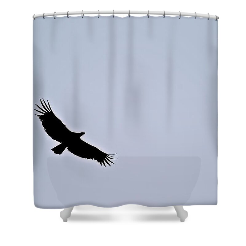 California Condor Shower Curtain featuring the photograph California Condor by Eric Tressler