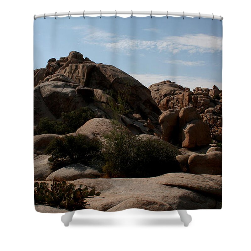 California Shower Curtain featuring the photograph California Desert by Karen Harrison Brown