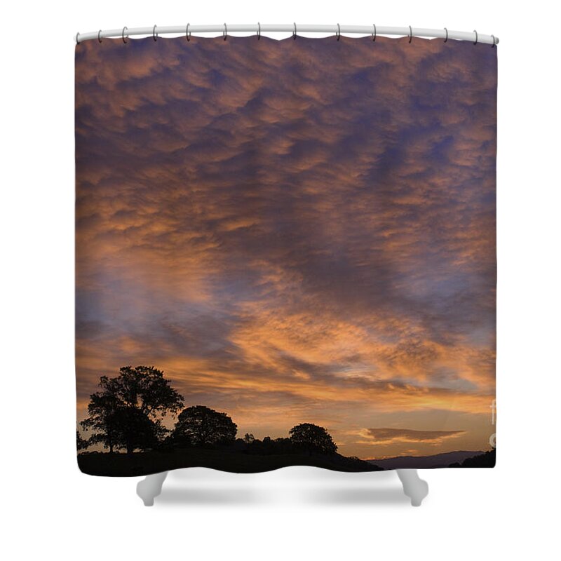 Sandra Bronstein Shower Curtain featuring the photograph California Oaks and Sunrise by Sandra Bronstein