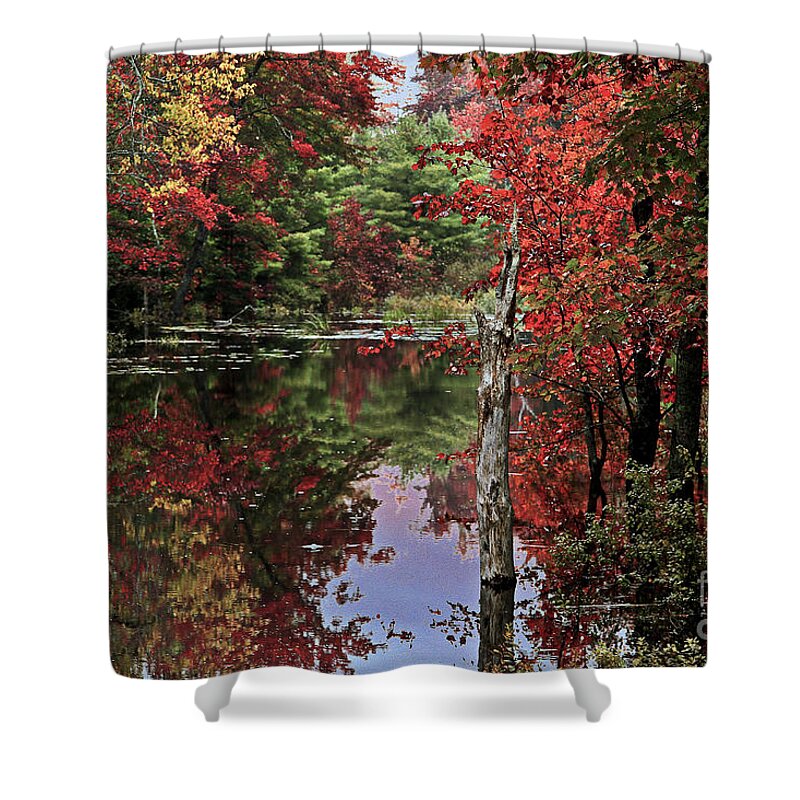 Secrets Shower Curtain featuring the photograph Can You Hear That by Brenda Giasson
