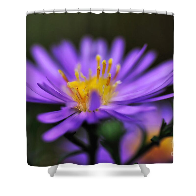 Photography Shower Curtain featuring the photograph Candles on a Daisy by Kaye Menner