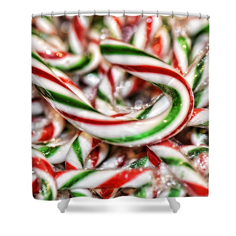 Christmas Shower Curtain featuring the photograph Candy Canes by Traci Cottingham