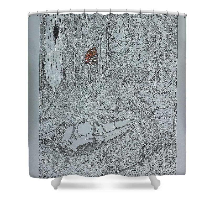 Nature Shower Curtain featuring the drawing Canine Skull And Butterfly by Daniel Reed