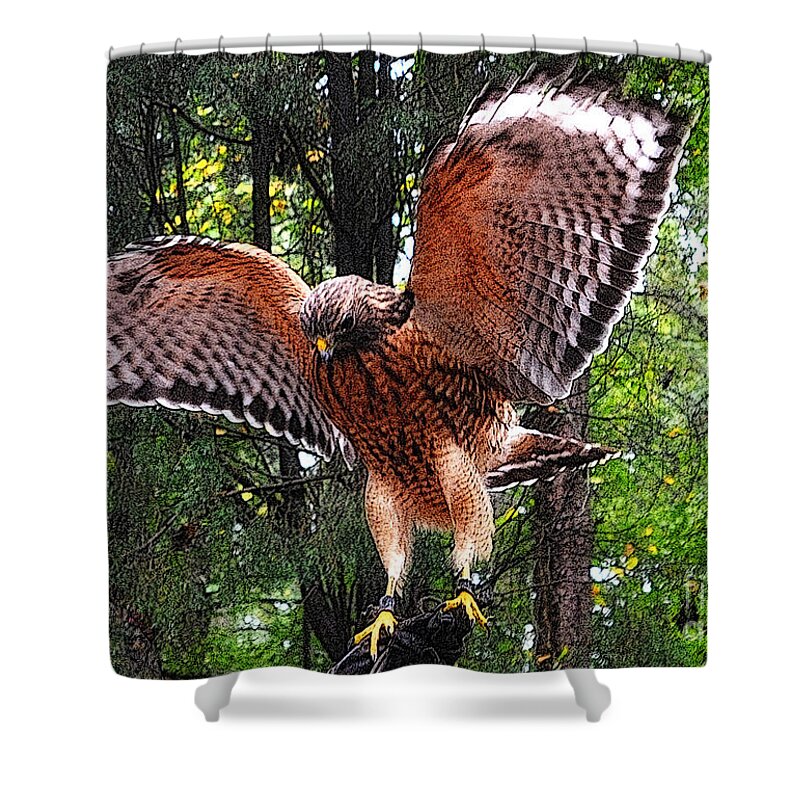Red -tailed Hawk Shower Curtain featuring the photograph Captivity by Lydia Holly