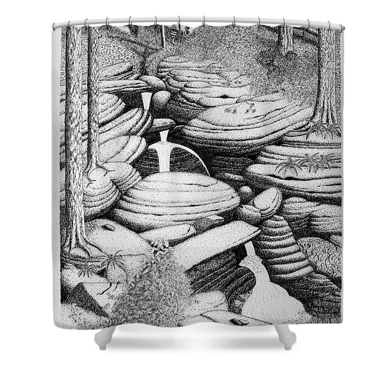 Nature Shower Curtain featuring the drawing Cascade In Boulders by Daniel Reed
