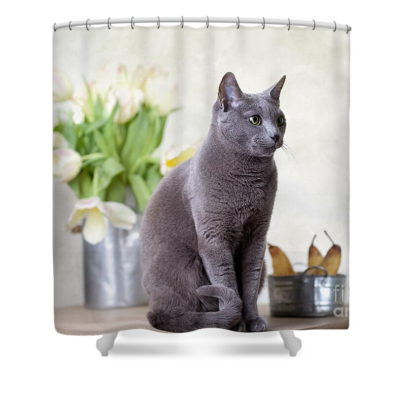 Tulip Shower Curtain featuring the photograph Cat and Tulips by Nailia Schwarz
