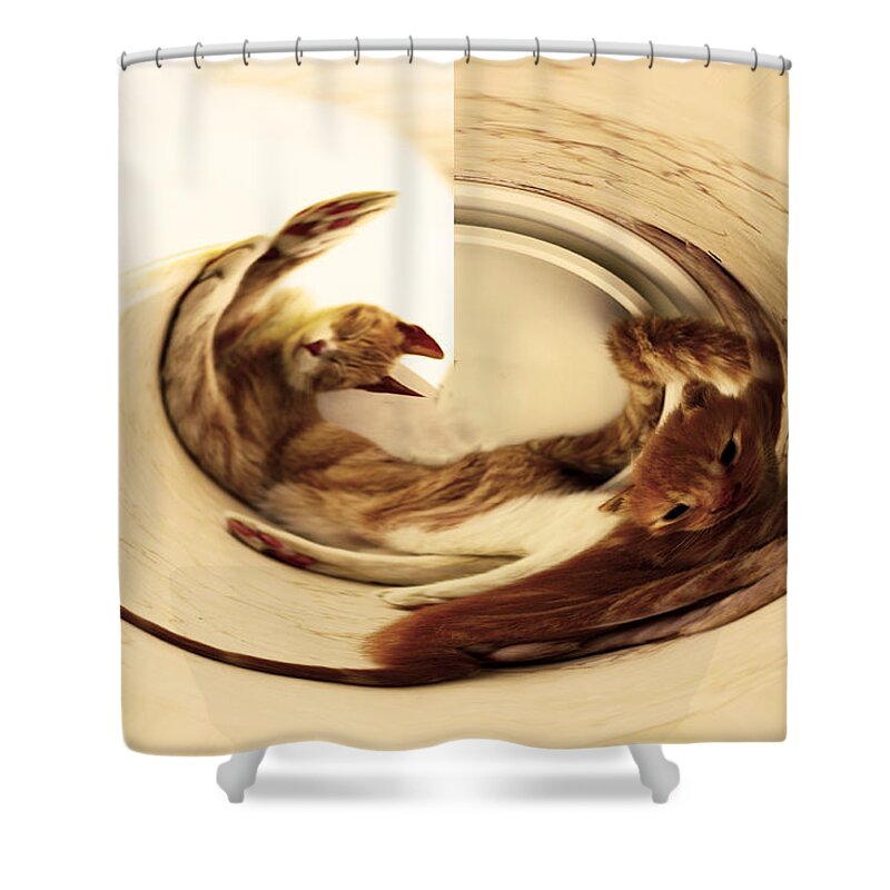 Augusta Stylianou Shower Curtain featuring the digital art Cat Whirling by Augusta Stylianou