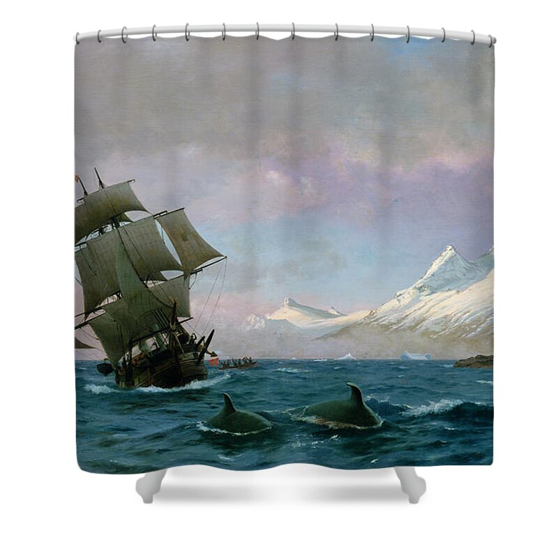 Catching Shower Curtain featuring the painting Catching whales by J E Carl Rasmussen