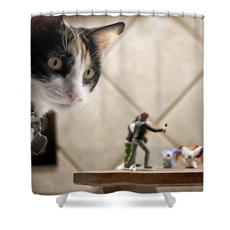 American Shorthair Shower Curtain featuring the photograph Catzilla by Melany Sarafis