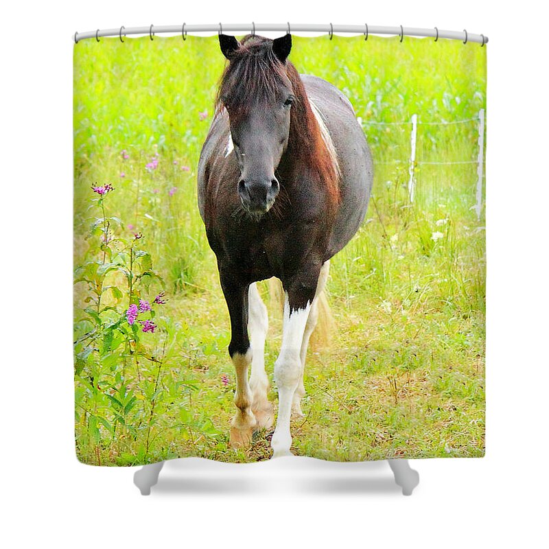  Shower Curtain featuring the photograph 'Cheers to Shiraz' by PJQandFriends Photography