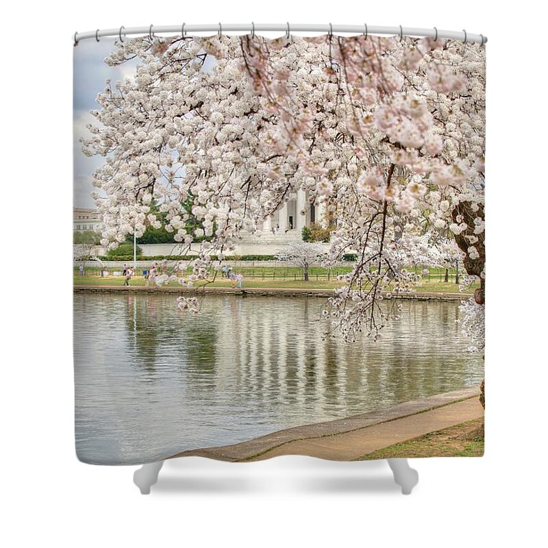 Metro Shower Curtain featuring the photograph Cherry Blossoms Washington DC 6 by Metro DC Photography