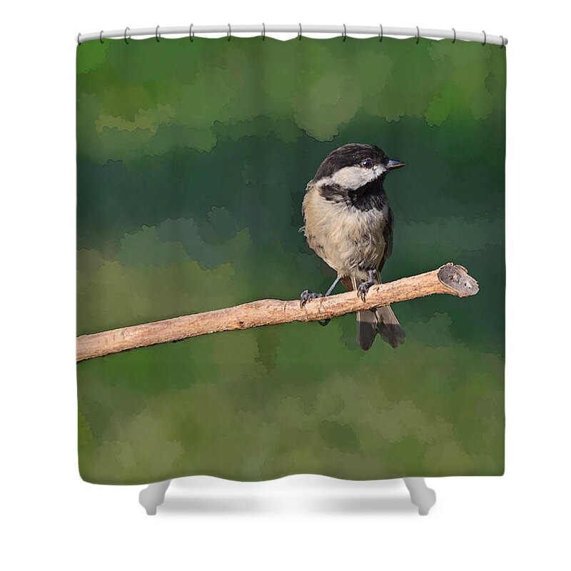 Nature Shower Curtain featuring the photograph Chickadee on a stick by Debbie Portwood
