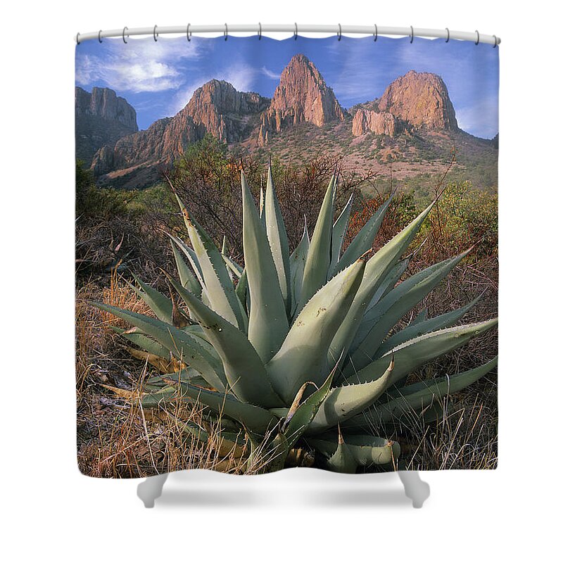 00175728 Shower Curtain featuring the photograph Chisos Agave And The Chisos Mountains by Tim Fitzharris