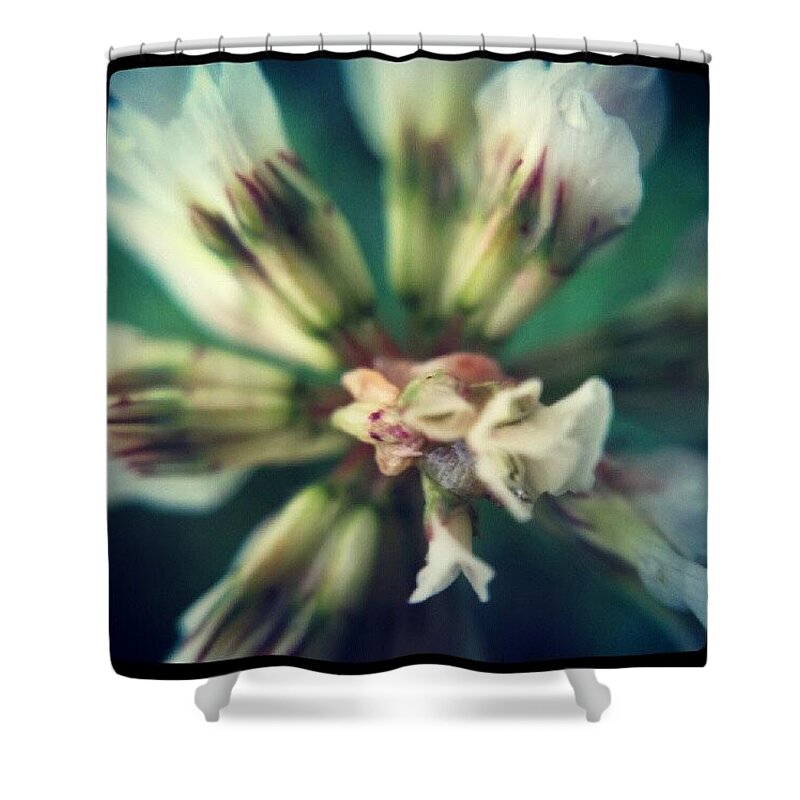 Clover Shower Curtain featuring the photograph Clover Flower Close Up by Vicki Field