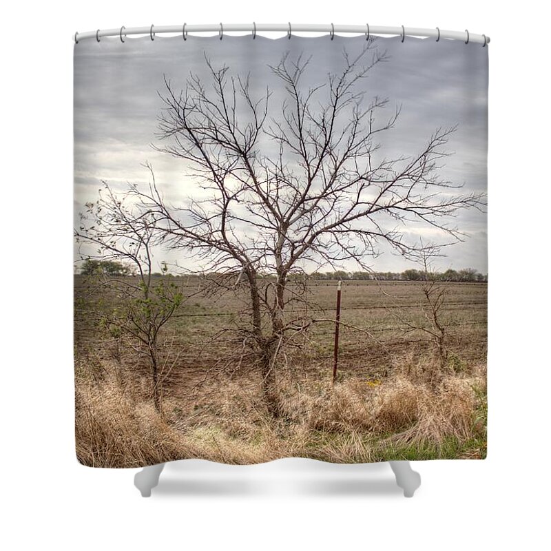 Oklahoma Shower Curtain featuring the photograph Color - Country Tree by Peter Ciro