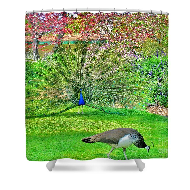 Birds Shower Curtain featuring the photograph Come Here Often by John King I I I