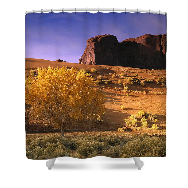 00174210 Shower Curtain featuring the photograph Cottonwood Tree And Coyote Bush by Tim Fitzharris