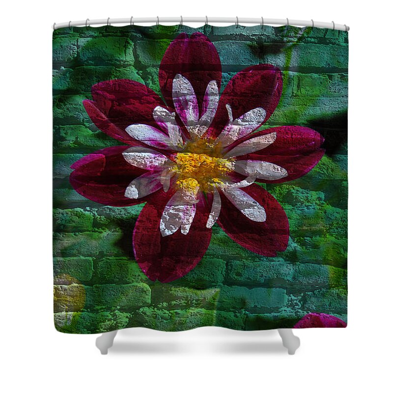 Flora Shower Curtain featuring the mixed media Crazy flower over brick by Eric Liller