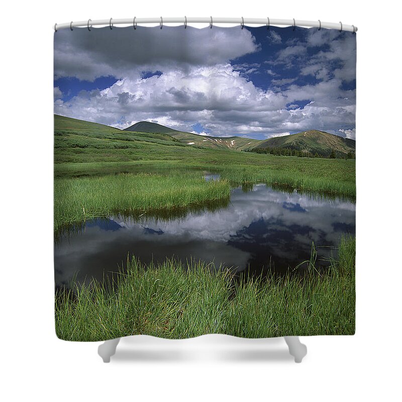 00175111 Shower Curtain featuring the photograph Cumulus Clouds Reflected In Pond by Tim Fitzharris