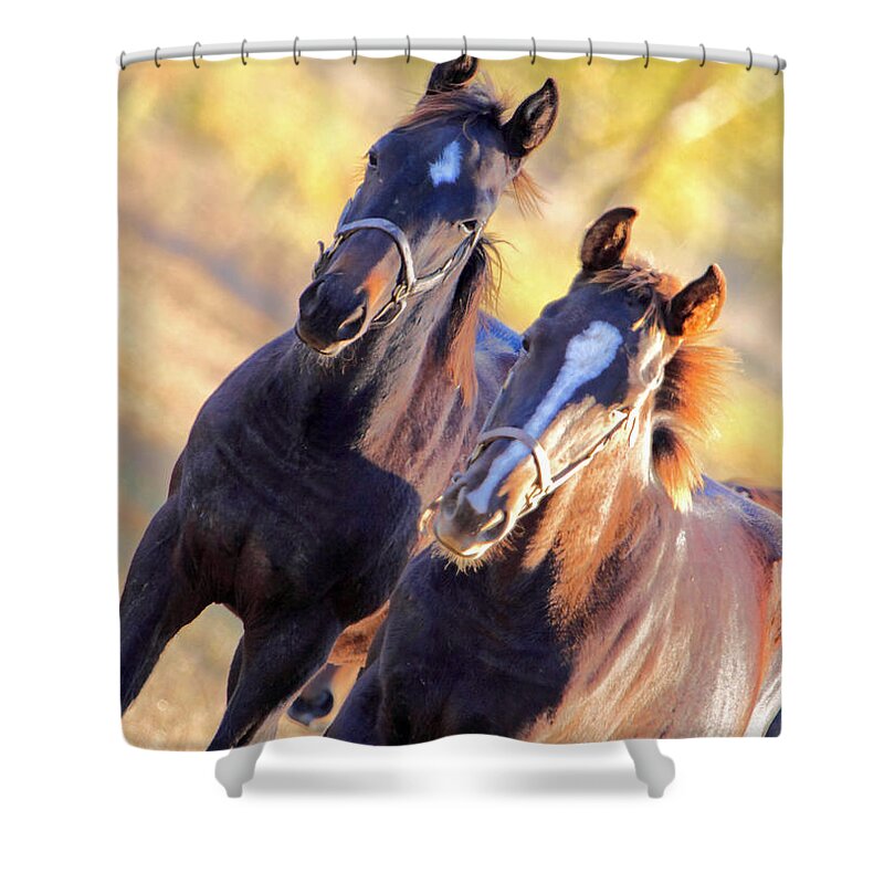  Shower Curtain featuring the photograph 'Curious Georges' by PJQandFriends Photography