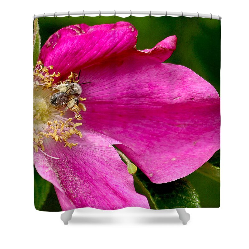 Flower Shower Curtain featuring the photograph Cutaway by Jean Noren