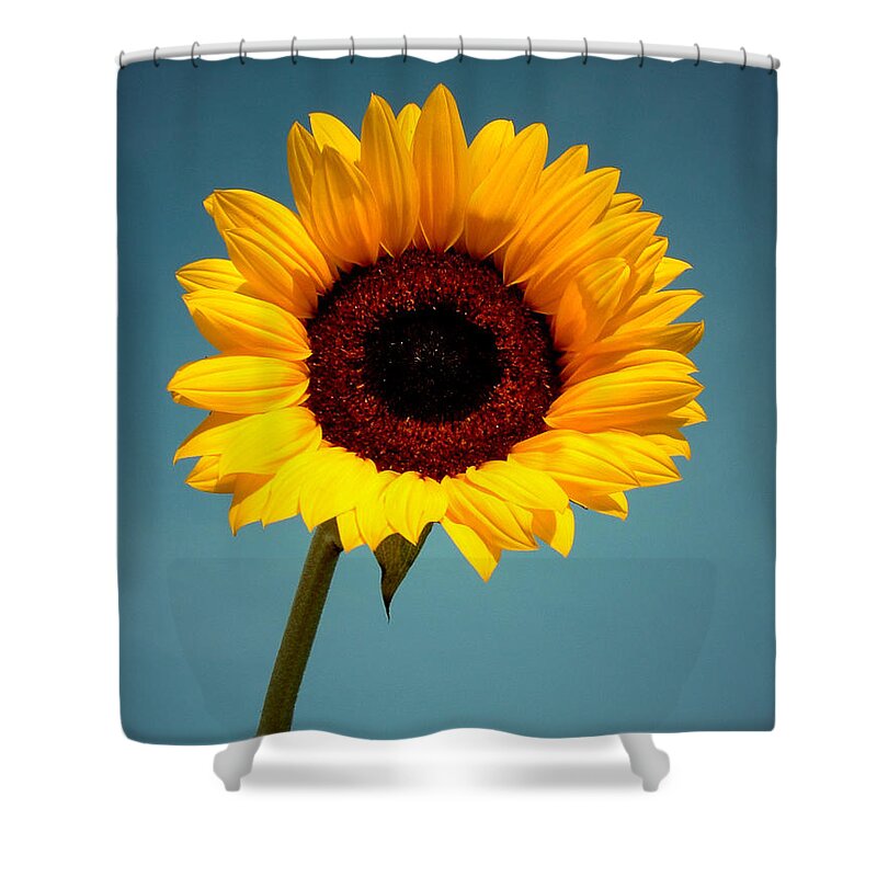 Sunflower Shower Curtain featuring the photograph Cyclops by David Weeks